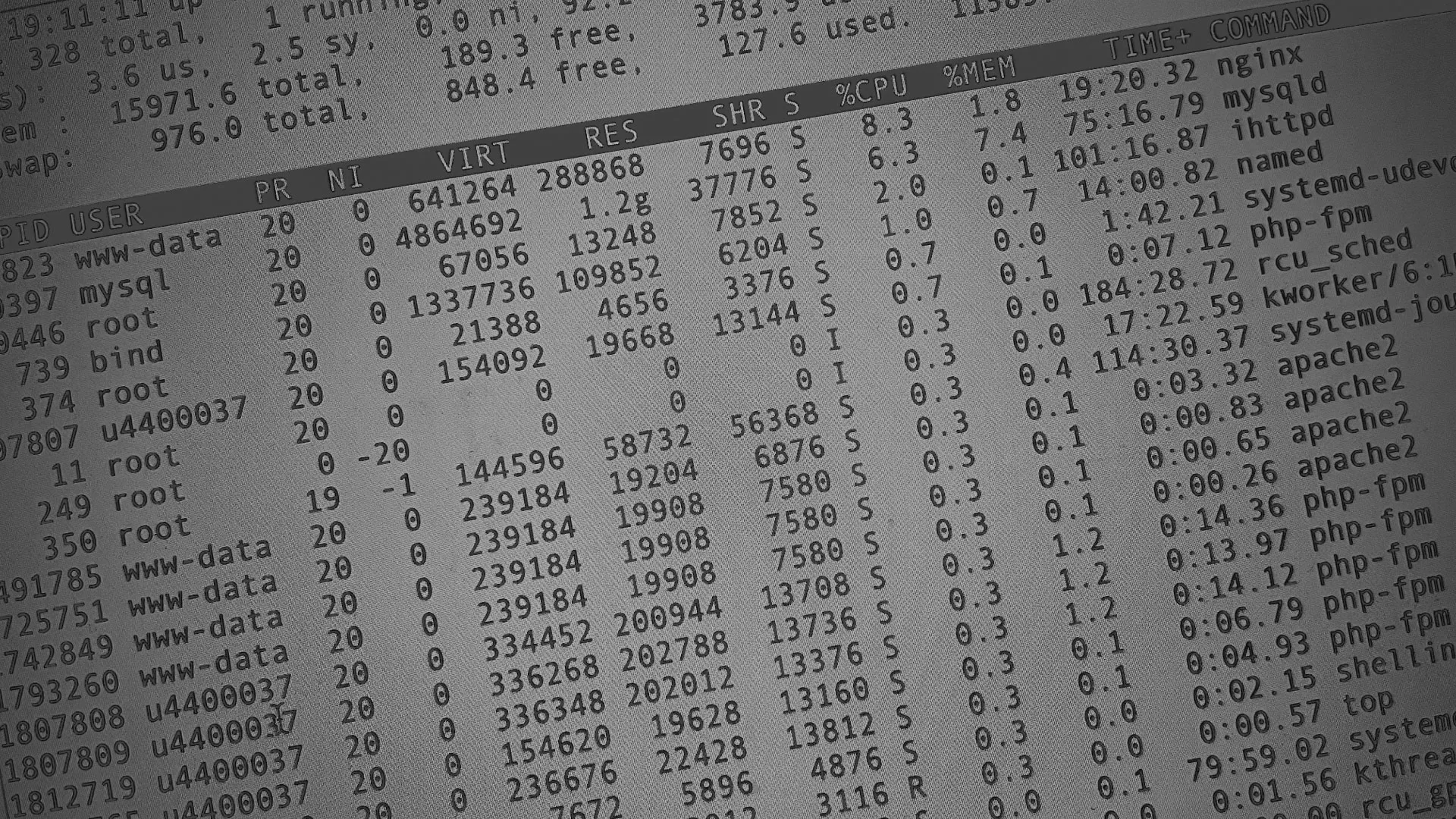 Настройка сервера в Фокино