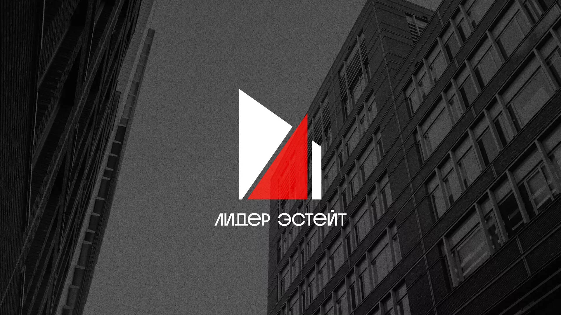 Сделали логотип для агентства недвижимости «Лидер Эстейт» в Фокино